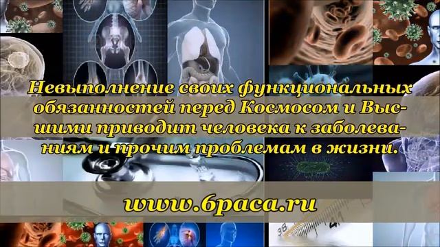 Познай себя Л.А.Секлитова,Л.Л.Стрельникова смотреть онлайн