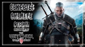 ХОЧУ НОВЫХ ЧУДОВИЩ! В ПОИСКАХ ПРИКЛЮЧЕНИЙ НА СКЕЛЕГЕ! | Прохождение The Witcher 3: Wild Hunt #19