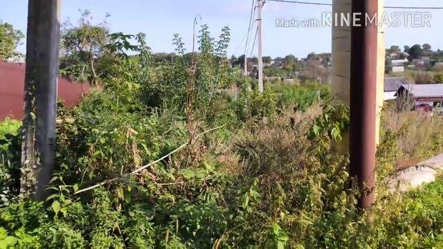 Забытая историческая лестница на Лобырёвку!г.Рославль