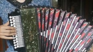 Гармонь тульская Ля мажор. Барыня