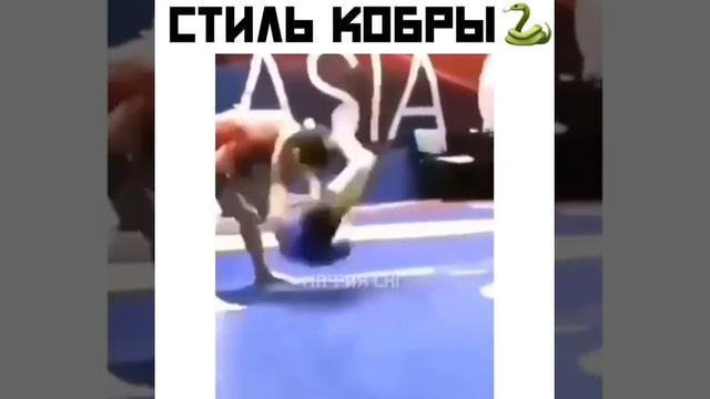 СТИЛЬ КОБРЫ #борьба #кобра #стиль #врек