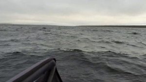 Рыбалка на Имандре.