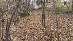 Прогулка по Уфе
