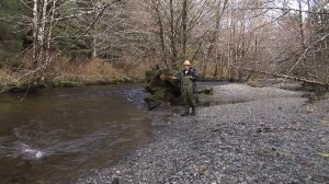 HD Google Earth Fly-in to Sal Creek Restoration, Tongass National Forest Alaska