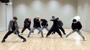 ENHYPEN - Tamed-Dashed Dance Practice (Mirrored)