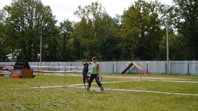 Соколова Е. и метис Юста - Дог Пуллер Чемпионат, Ярославль, 21.06.2014 смотреть онлайн