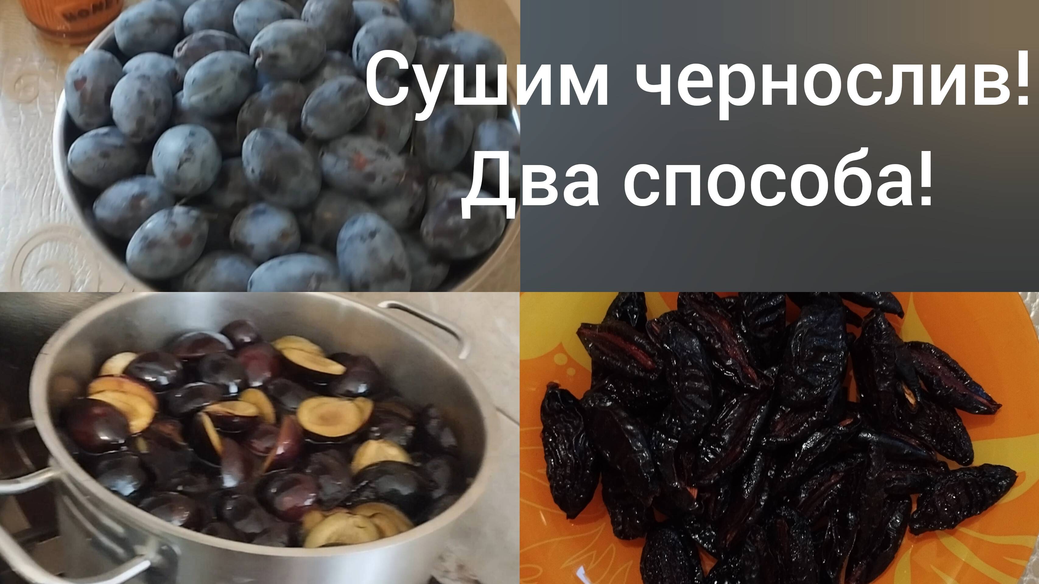 Живем в Адыгее/Сушим чернослив в дегидраторе двумя способами/