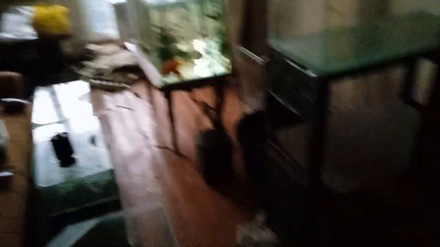 Первая ночь, полёт нормальный ? смотреть онлайн