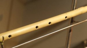 Нашли древний духовой инструмент| Керней.