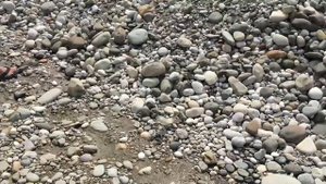 ПОЙМАЛИ ОГРОМНУЮ ФОРЕЛЬ НА ПОПЛАВОЧНУЮ УДОЧКУ, НАЖИВКА ТЕСТО, ЧУТЬ НЕ СЛОМАЛАСЬ УДОЧКА.