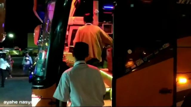 "Harta Tahta Nana Mowgli" pramugari  cantik di bus Sudiro Tungga jaya || STJ MANIA