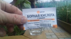 ЧУДО А НЕ ПОДКОРМКА! ПЕРЕЦ СПЕЕТ НА КУСТУ И БЫСТРО УВЕЛИЧИВАЕТСЯ!!! ПОДКОРМКА ПЕРЦА В АВГУСТЕ!!!