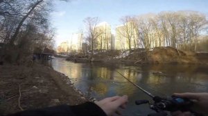 Открытие рыболовного сезона 2022 пробные забросы Zetrix Avalanche, Daiwa Tatula