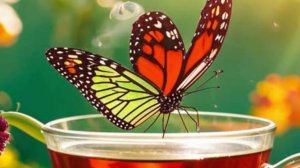 Доброго Дня - Замечательного и хорошего настроения!