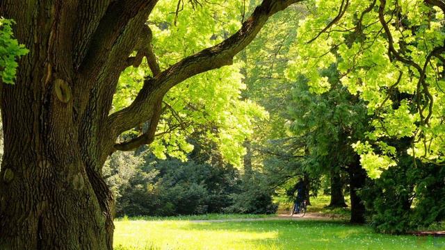 Ф М Достоевский Братья Карамазовы Часть 3 АУДИОКНИГА смотреть онлайн