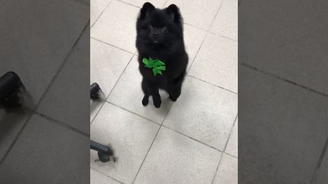 Бумер пошел впляс смотреть онлайн