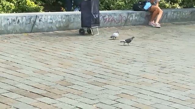 MANHOLE COVER T-SHIRT PRINT BERLIN смотреть онлайн