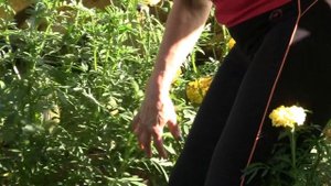 Декоративный прудик на даче