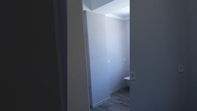 Сдаю в аренду 1 комн. квартиру с дорогим новым ремонтом в Дагомысе.