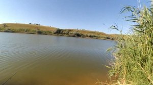 Рыбалка в Крыму 19.07.2022 Закрытый водоём Али-бай