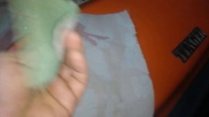 Вездеход снегоболотоход тингер.все плюсы и минусы