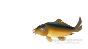 Как научиться рисовать рыбу.  Урок рисования карпа.  Fish