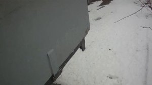 Дополнительные фары заднего хода ГАЗель