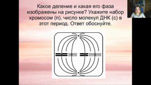 РЕШАЕМ СЛОЖНЫЕ ЗАДАНИЯ НА МИТОЗ И МЕЙОЗ | ЕГЭ БИОЛОГИЯ