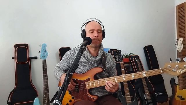 Review Jazz Bass modelo TJ4 @tribeguitars1767 смотреть онлайн