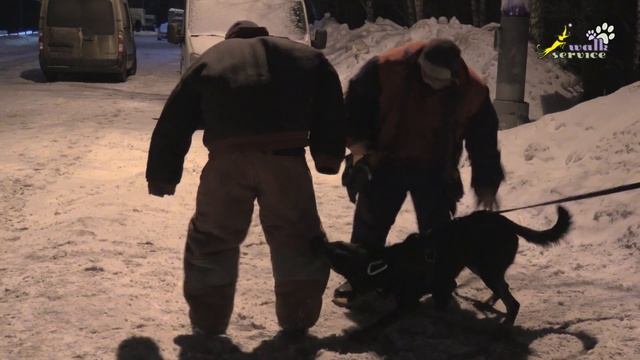 Босерон Боц, утренняя зарядка с фигурантом смотреть онлайн