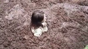 quicksand