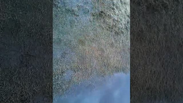 весенний паводок в с. Шадрино на реке Шадриха