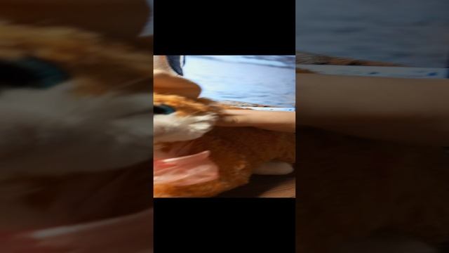 обзор игрушек сестры часть 2 смотреть онлайн