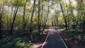 Как дойти от метро до ЖК «Парксайд»