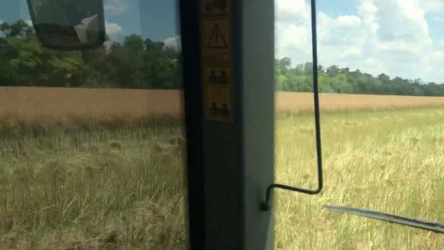 ПАЛЕССЕ GS3219 АКРОС 595плюс КЛААС 850 ХТЗ12221 заканчиваем уборку рапса смотреть онлайн