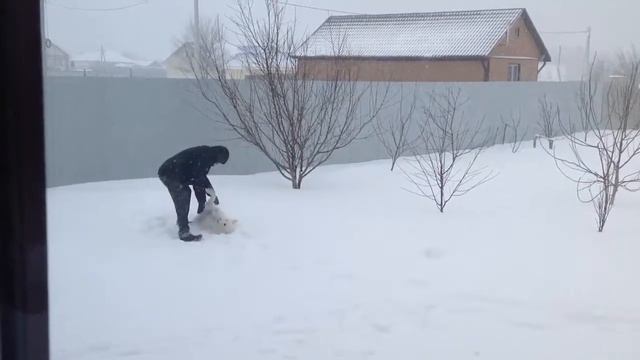 В последний день зимы.