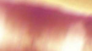 Крупнейший русский черный рынок в TOR [720]