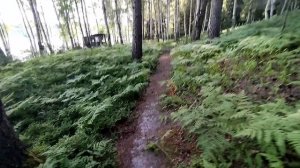 Кантри хоум.mp4