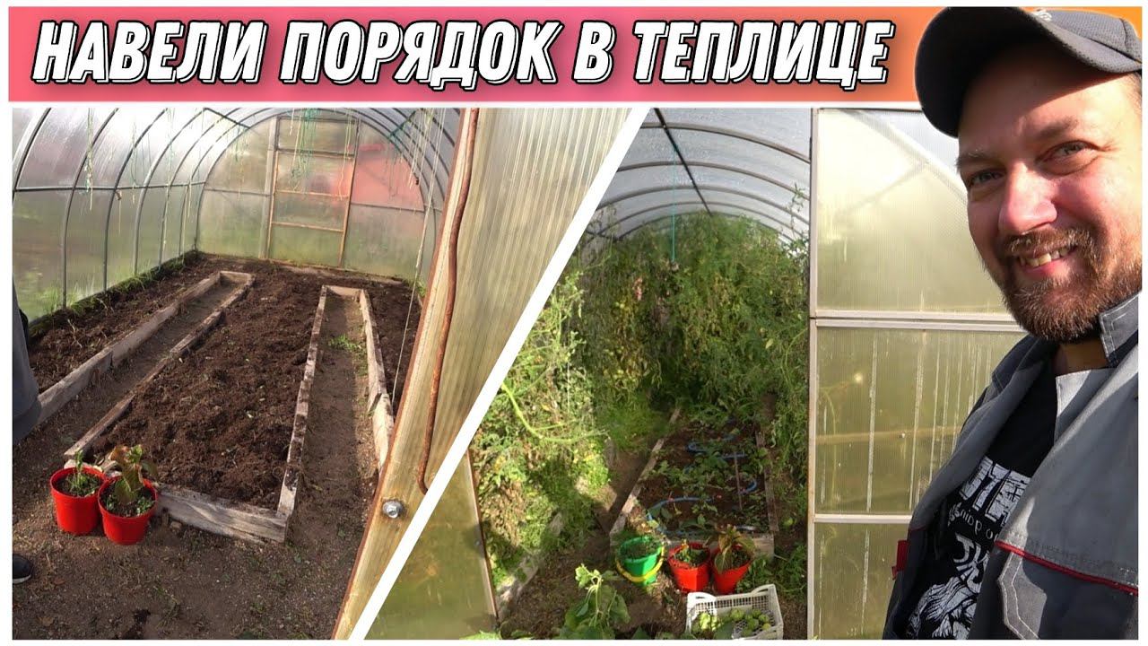 ВЛОГ! Убираем помидоры в теплице и не только/Подготовка участка к зимнему периоду/Дачные будни!!!