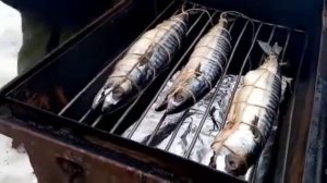 Салака горячего копчения