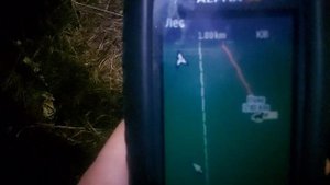 ОХОТА НА БАРСУКА С ЛАЙКАМИ/БАРСУК УШЁЛ В НОРУ!