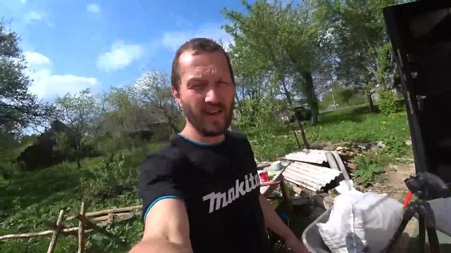 Собрали весенний урожай картошки и посадили новую партию.