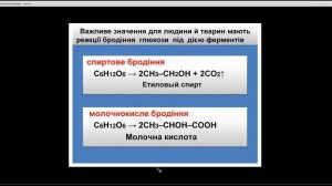 Хімія 9 клас. Вуглеводи: глюкоза, сахароза