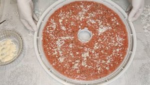 Томатная пастила. Томатные чипсы.