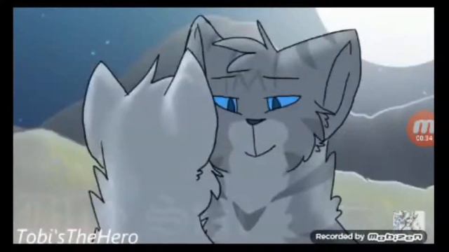 Коты воители ~между нами пау пау~ смотреть онлайн