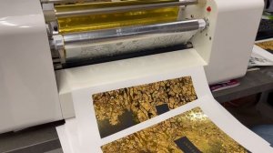Foil Printer Amd 360 D
