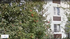 ГДЕ Я ЖИВУ???