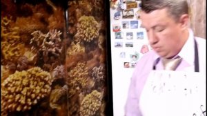 Маринуем замороженную сельдь двумя изысканными способами