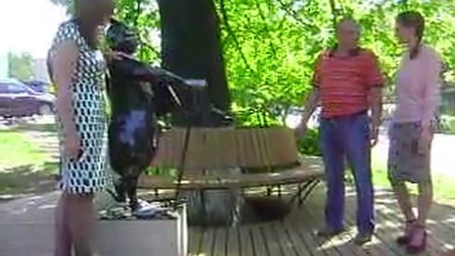 MOV04967 28.05.2015 Ижевск памятник коту учёному