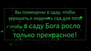 НЕВИЛЛ ГОДДАРД "САДОВЫЕ НОЖНИЦЫ ПЕРЕСМОТРА" ЛЕКЦИЯ 1954 ВАША МИССИЯ СПАСТИ ДРУГИХ, ЧТОБЫ СПАСТИ СЕБ